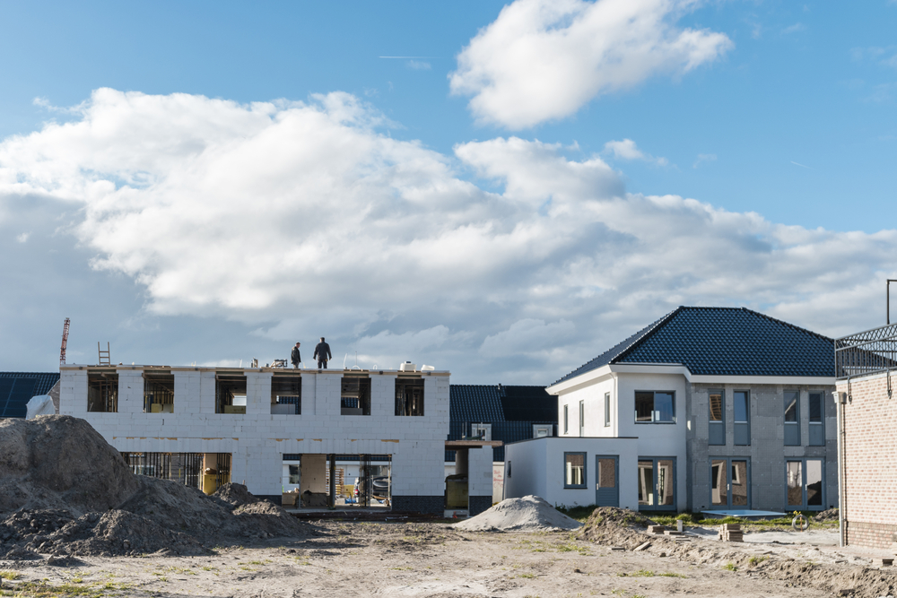 Vliesbehang den haag